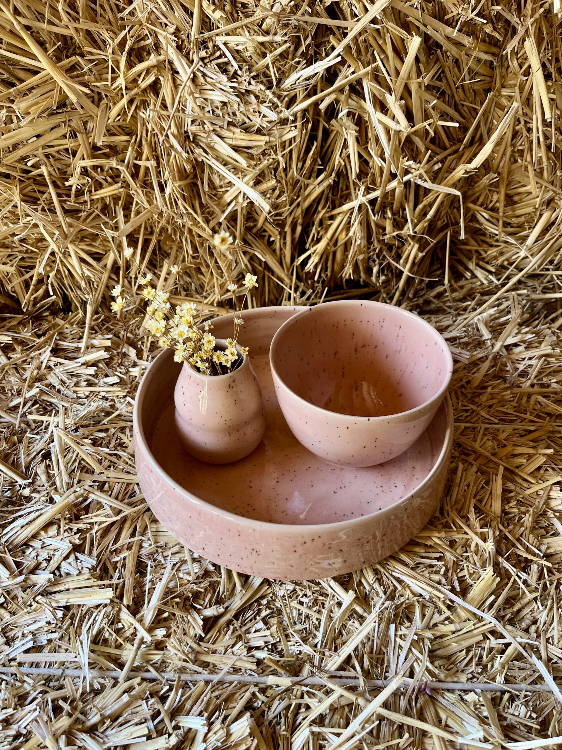 Grand plat – Image 3