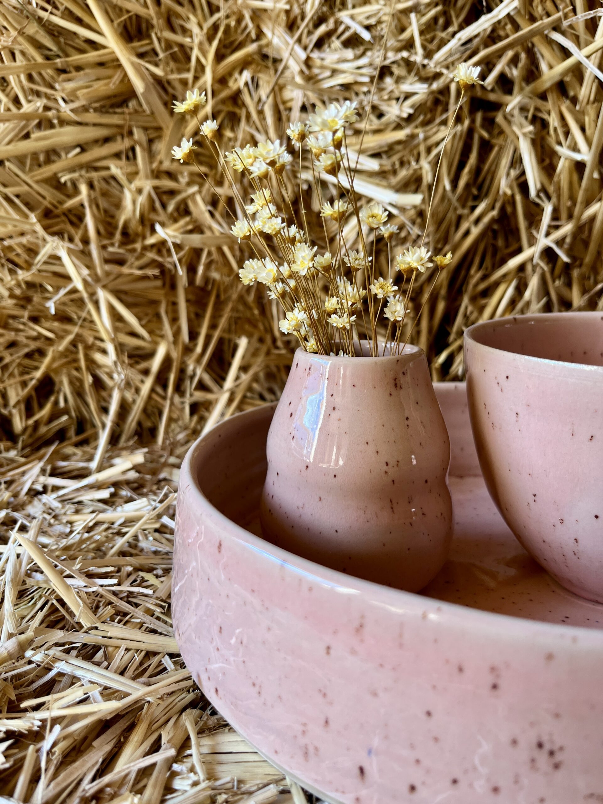 Grand plat – Image 2