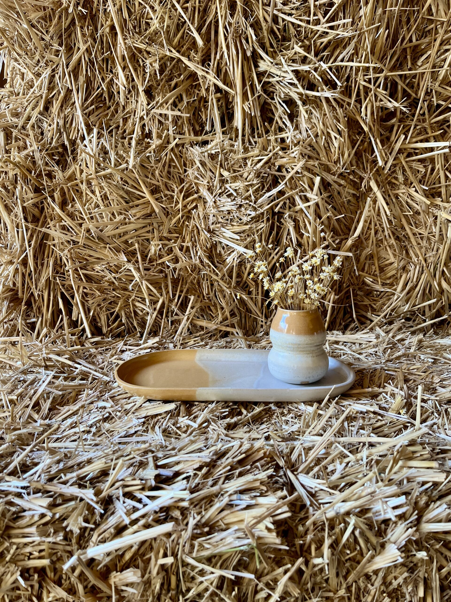 Le plateau allongé – Image 2